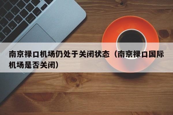 南京禄口机场仍处于关闭状态（南京禄口国际机场是否关闭）