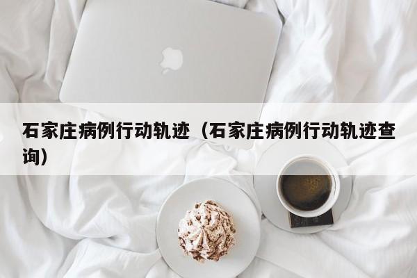 石家庄病例行动轨迹（石家庄病例行动轨迹查询）