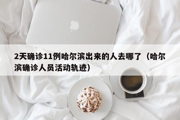 2天确诊11例哈尔滨出来的人去哪了（哈尔滨确诊人员活动轨迹）