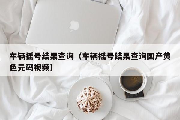 车辆摇号结果查询（车辆摇号结果查询国产黄色元码视频）