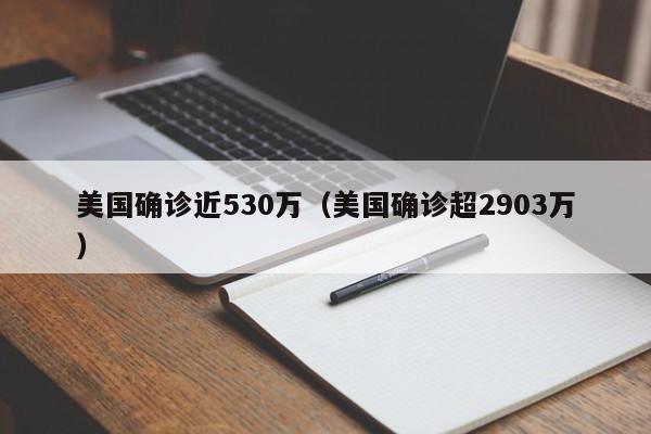 美国确诊近530万(美国确诊超2903万)