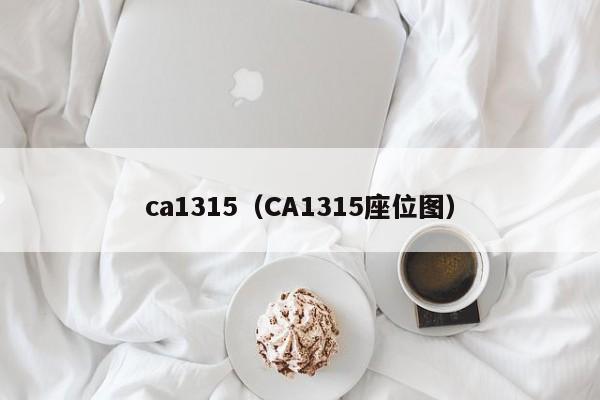 ca1315(CA1315座位图)